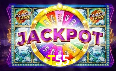 Design Responsivo T55