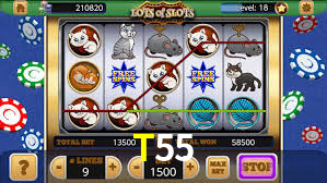 Casino Ao Vivo T55