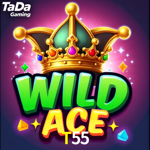 Interface do App T55