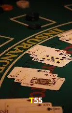 Ofertas Exclusivas T55